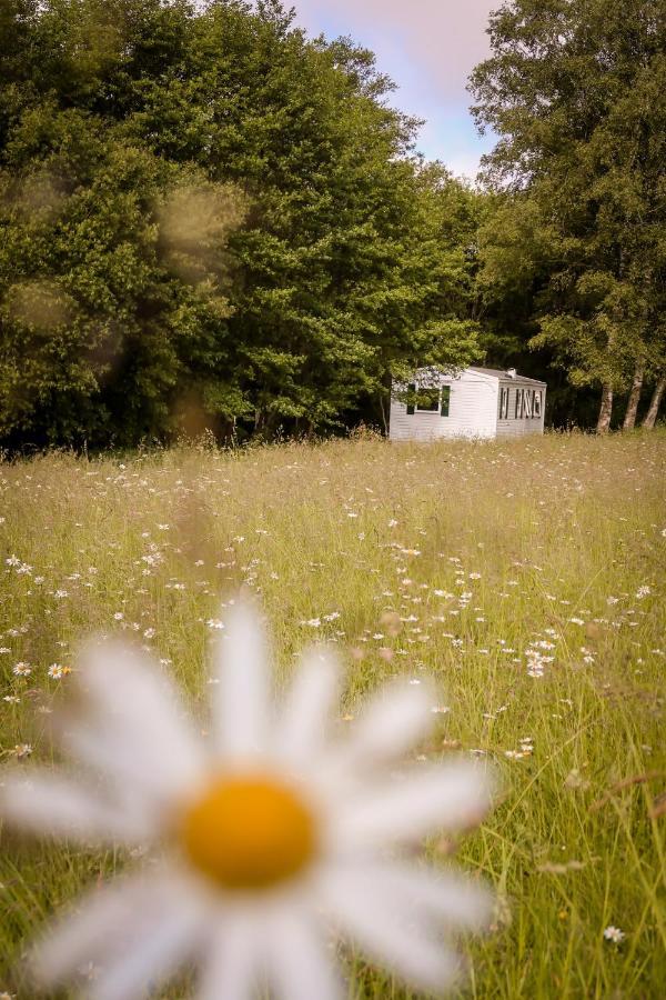 Mini-Glamping En Auvergne Villa Sainte-Christine  Exteriör bild